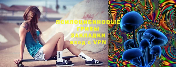 соль ск Сясьстрой