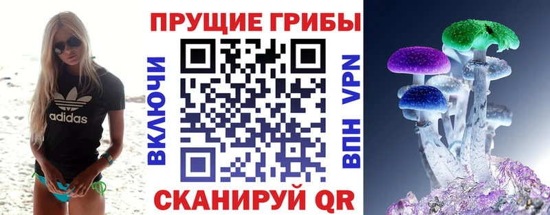 Галлюциногенные грибы Cubensis  продажа наркотиков  Осташков 